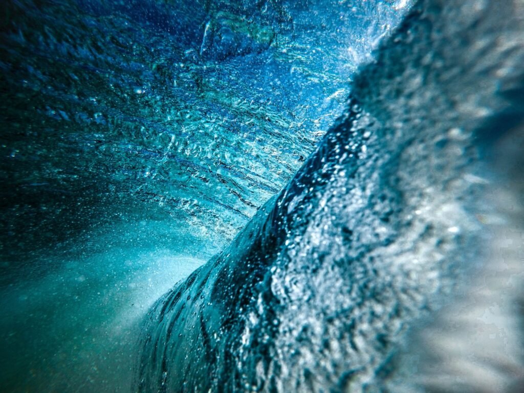 The Elixir of Life: Why Water Is Vital for Your Health